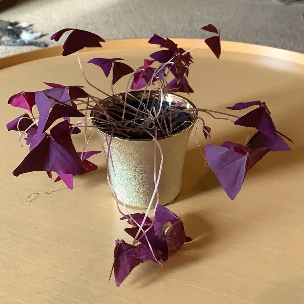 2/$12 Holiday Gold Fluted Plant Pots